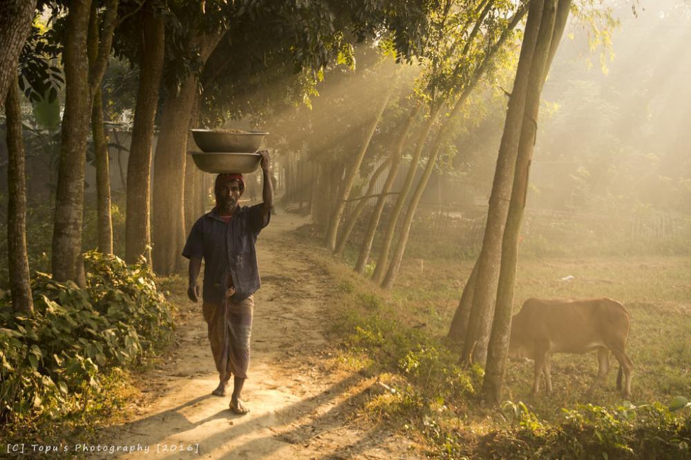 Photo of Bangladesh