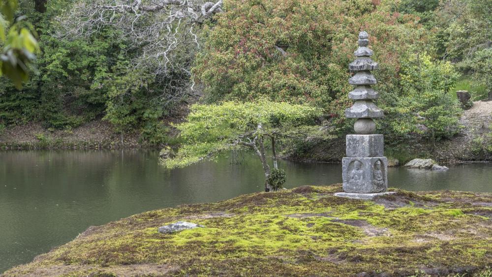 Photo of Japan